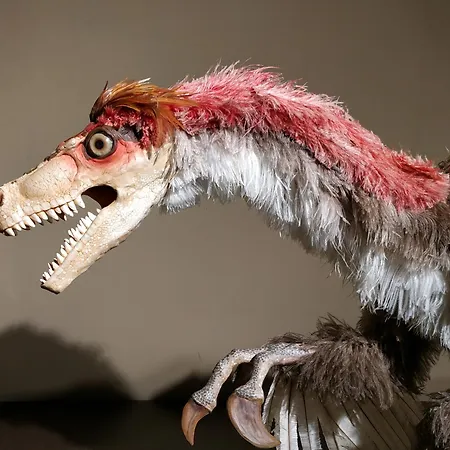 Belenos Turisticos *