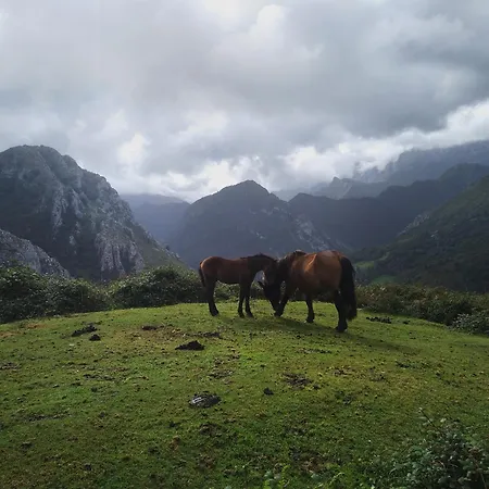 Belenos Turisticos * Niembro