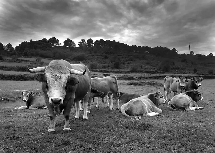 Belenos Turísticos *