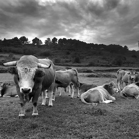 Belenos Turisticos *