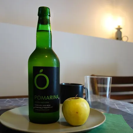 公寓 Belenos Turisticos