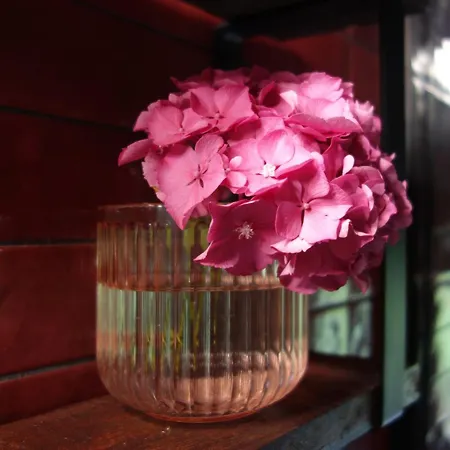 Belenos Turisticos 公寓 *